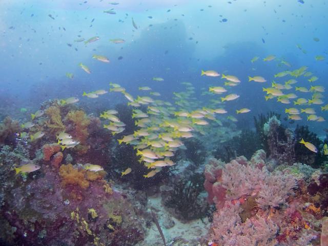 Nomad Divers Bangka Likupang Buitenkant foto