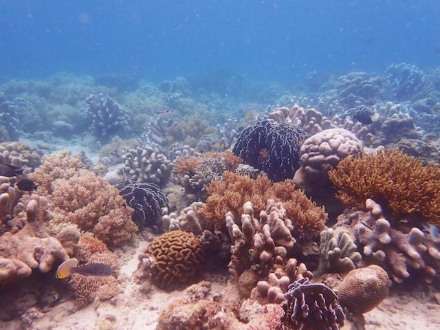 Nomad Divers Bangka Likupang Buitenkant foto